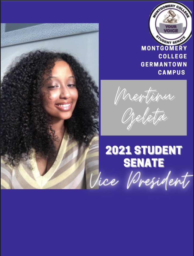 Gt-Senate@MC tweet media