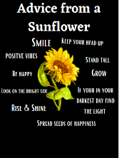 katiebillie_'s tweet image. Some of my 7th grader's "Advice from a..." projects. I love the creativity and thoughtfulness they put into their work! #62Learns #62ICS