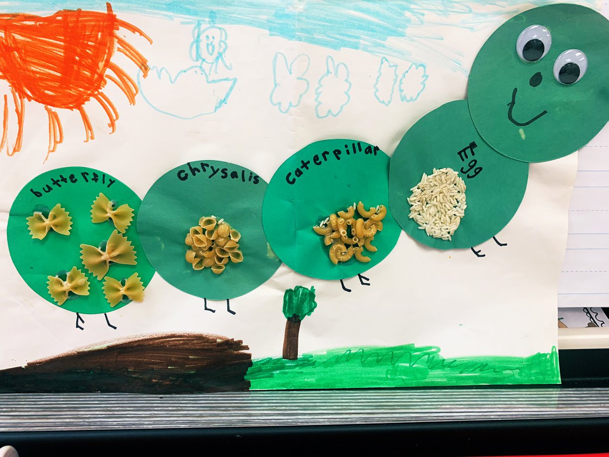 CCPSHENCLASS tweet media