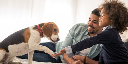 It’s National Pet Month, and if you’ve adopted a new four-legged friend, we’ve got the potty-training advice you need to foster a pawsitive relationship between you and your pet. bddy.me/2Re8vvA