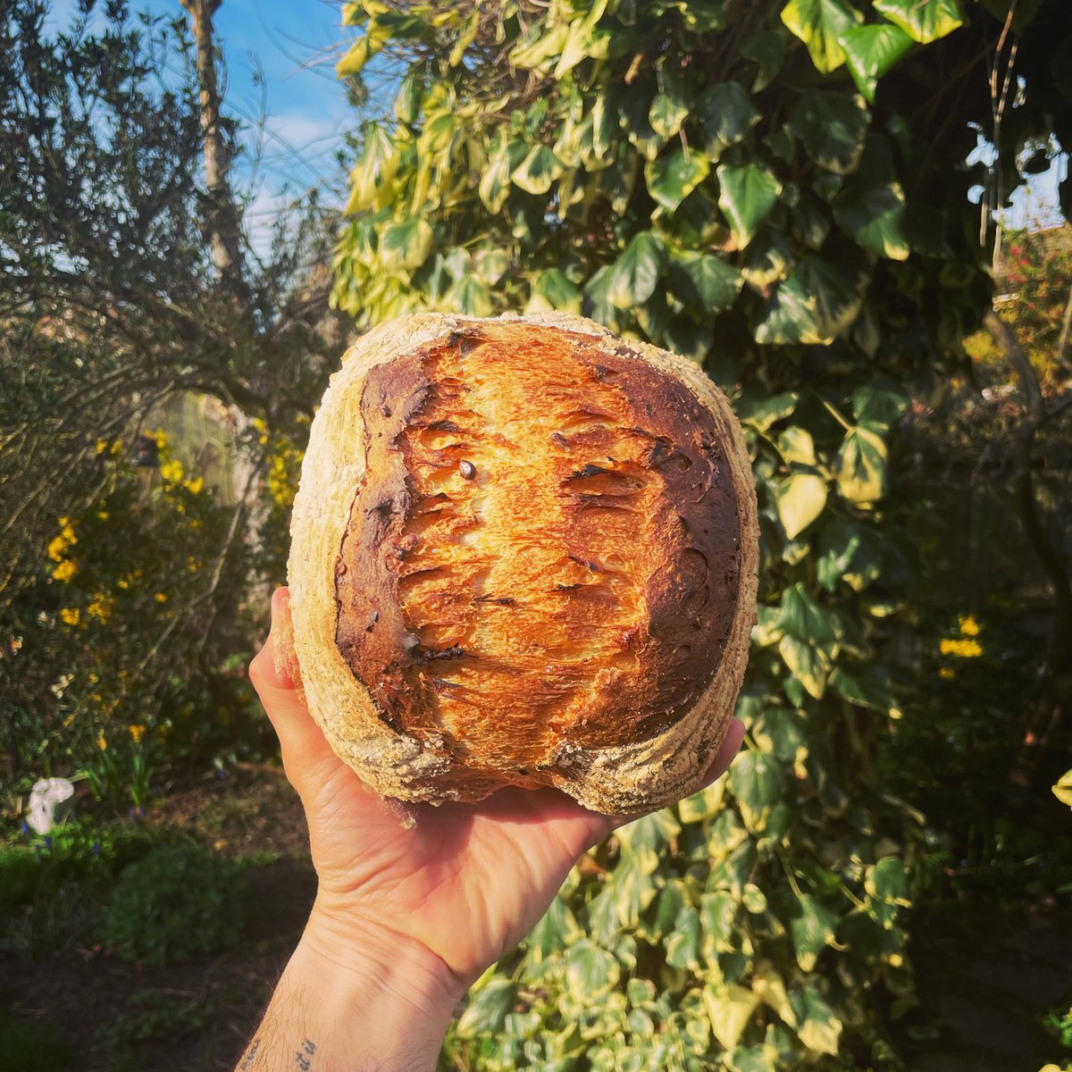 BenSulston's tweet photo. Bread πβοΈβ€οΈ
#bread #realbread #lovebread #sourdough #lovesourdough #bakinglife #baking #bakingbread #homebaker #homebaking #beautifulbread #multiseed #multiseedsourdoughbread #seeds https://t.co/LoRb7PNcBU