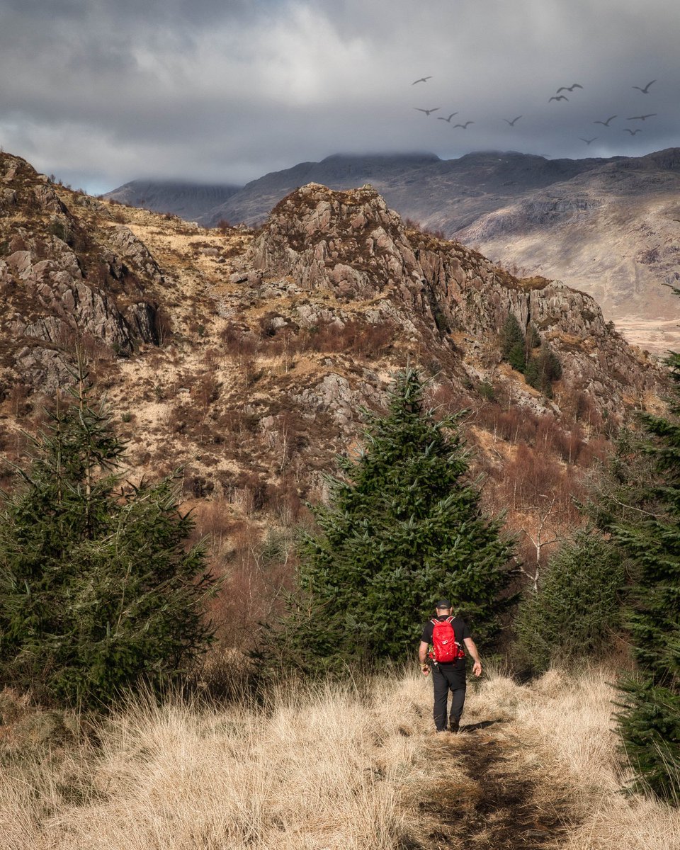 dirtyred619's tweet photo. Descending off Harter Fell and Green Crag in the gloriously rugged and beatiful Eskdale. #LakeDistrict #hiking #hikingadventures #getoutside @OSleisure https://t.co/ugREQrVelV