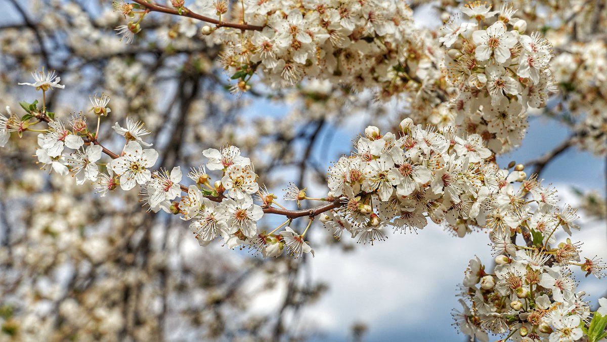Сегодня уехали на целый день в Никитский ботанический сад. #Крым #черноеморе #ботаническийсад