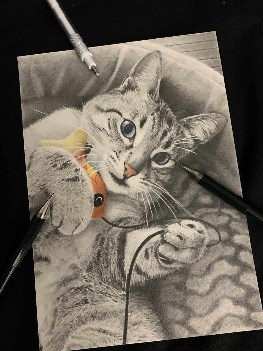 ArtByDD's tweet photo. Latest commission, tigger the cat! 

#CatsOfTwitter #cats #drawing #artwork #graphiteart #catlovers #cute #catart #petportraits #petart https://t.co/BtIwZ4DsQd