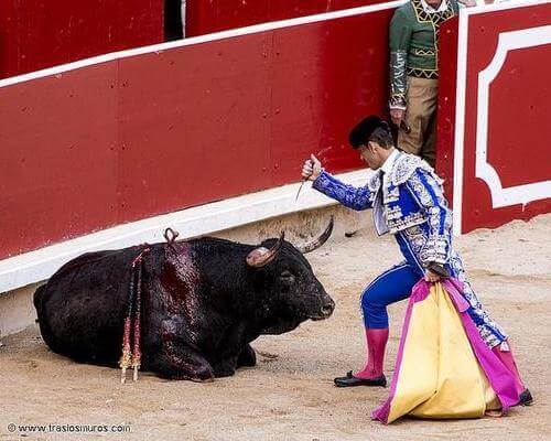 AchoSinToros's tweet photo. Sabemos que la defensa de los animales NO es el único punto a tomar en cuenta a la hora de votar, pero tampoco puede ser invisible. Por eso hoy mostramos a los candidatos que apoyan el maltrato animal y les decimos:
 
" #MiVotoEsAnimalista y no votaré por ti" https://t.co/olfB5gtQLD