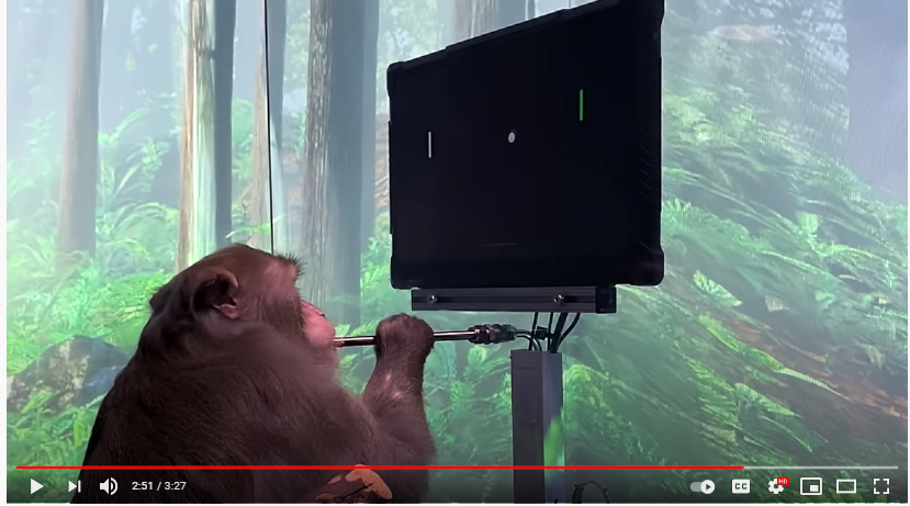 Neuralink video of a monkey playing brain pong. Couple of comments in this thread  https://twitter.com/elonmusk/status/1380313600187719682