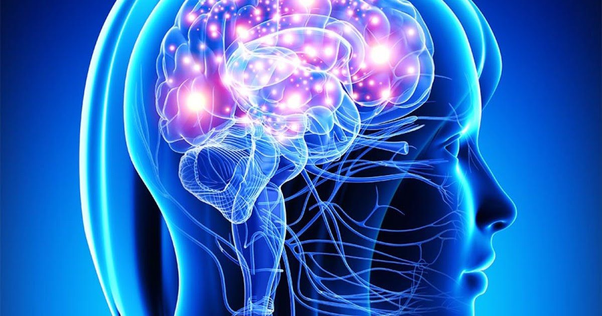 JournalEncuadre's tweet photo. #Salud Descubre la importancia del sistema #endocannabinoide y su relación con el CBD.

https://t.co/cBG1BLEien

#cannabis
#México
#noticias https://t.co/9S8DqPIrx6