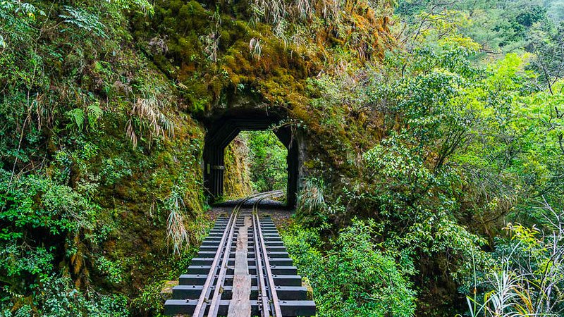LabxSocial's tweet image. &quot;The breeze at dawn has secrets to tell you. Don’t go back to sleep.&quot; - Rumi☀️

#fridaymorning #Taiwan #quote