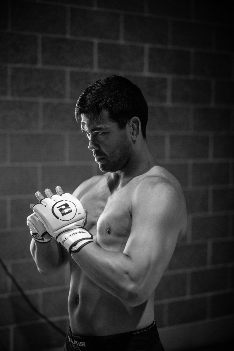 BELLATOR MMA OFFICIAL WHITE GROVE 限定 白色 Amazon.co.jp: 超限定カラー BELLATOR MMA 白グローブ : おもちゃ