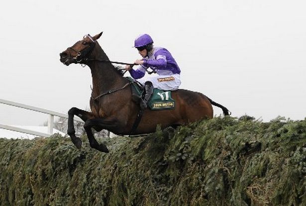 MikeWass2's tweet photo. Always Waining 3-times winner of the Topham Chase, a favourite of @andythelodge. Trained by Peter Bowen 🏴󠁧󠁢󠁷󠁬󠁳󠁿&amp; ridden by Brian Hughes in 2010 &amp; Tom O'Brien in 2011 &amp; 2012. In his early years won 3 times on the level for trainer Mark Johnston. 🏇#ALittleStar #RacingMemories https://t.co/N0I40MTwUA