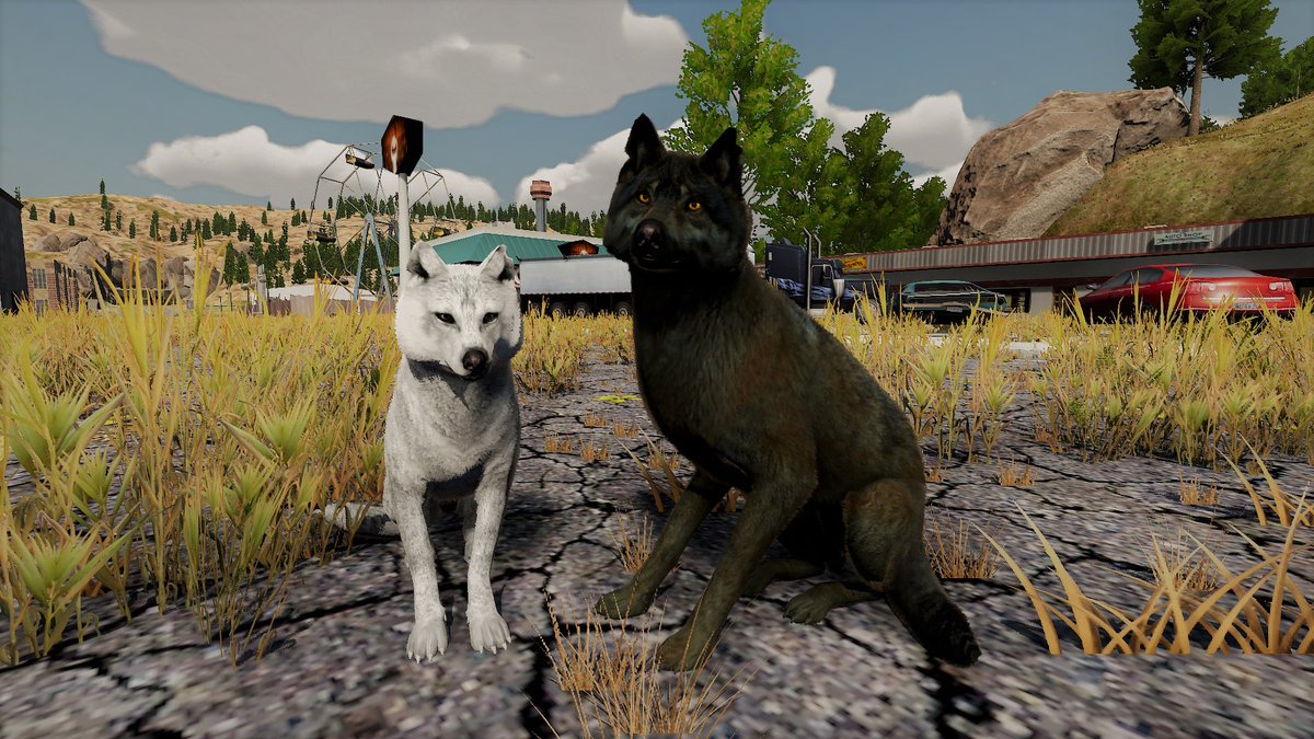 wolfiex11's tweet photo. Lost River🎡#wolfquestAE #wolfquest @WolfQuestGame https://t.co/fB0EEKS2Zu