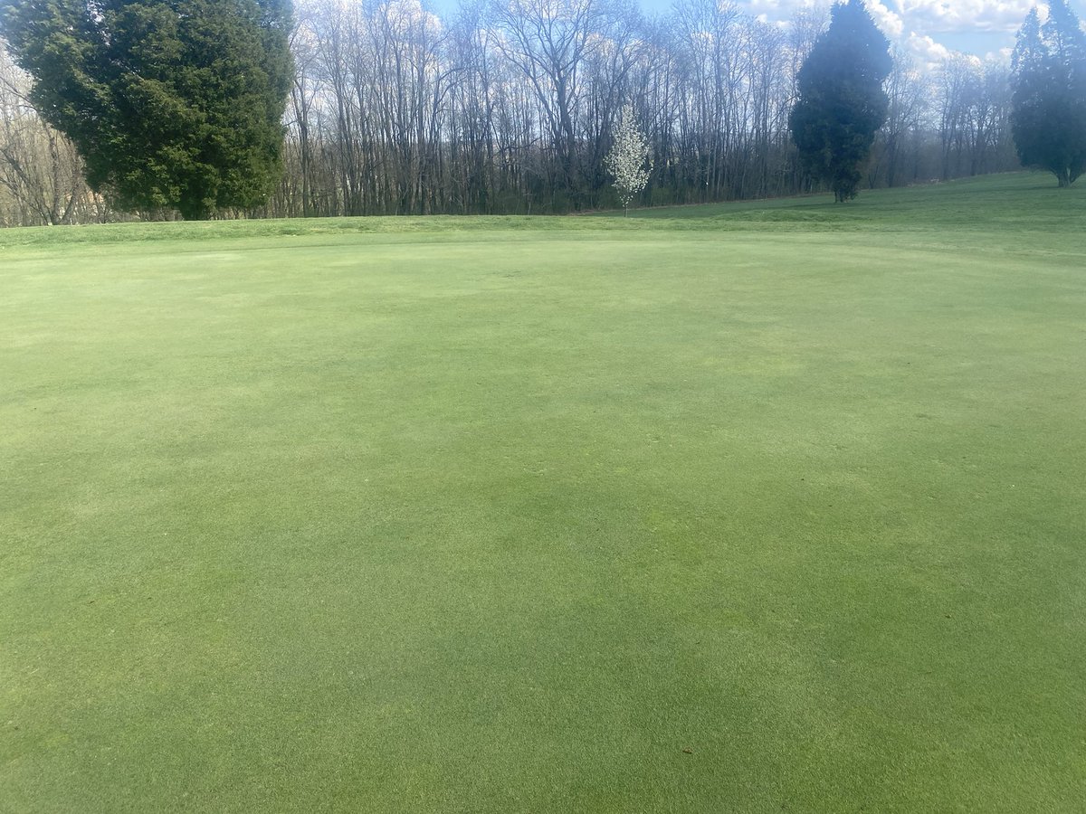 PollioNick's tweet image. Greens sprayed and ready for the weekend event! New pin locations should alleviate some early season traffic damage. Things are really shaping up! #Delmar