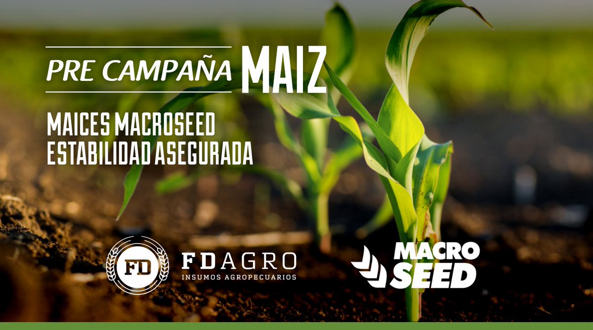 FDagrosrl's tweet photo. La estabilidad en #Maiz 🌽 que buscás, la encontrás en #Fdagro de la mano de Macro Seed
👉 Consultanos por #MS7123 PW, una garantía de integridad a cosecha♂️
Y consultá por nuestras opciones de financiación de PreCampaña 🌽
#InsumosAgropecuarios #Campo #Agro #Precampaña #Maíz https://t.co/jEoR1i3BD3