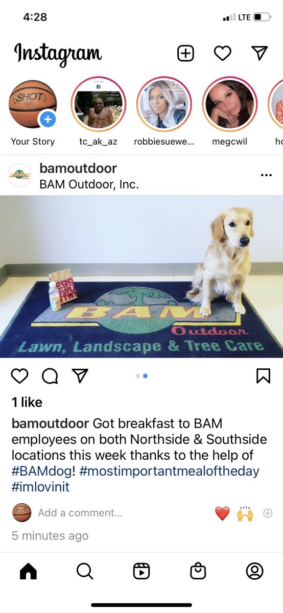 Konman24's tweet photo. BAM dog doing work!! https://t.co/dMXB3I9ls2