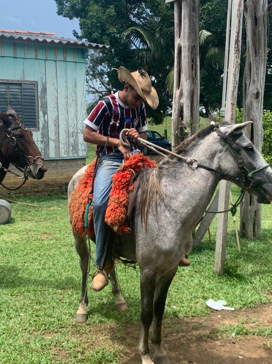 Nathan19287's tweet photo. 🐎 https://t.co/IEH6w2jsJd