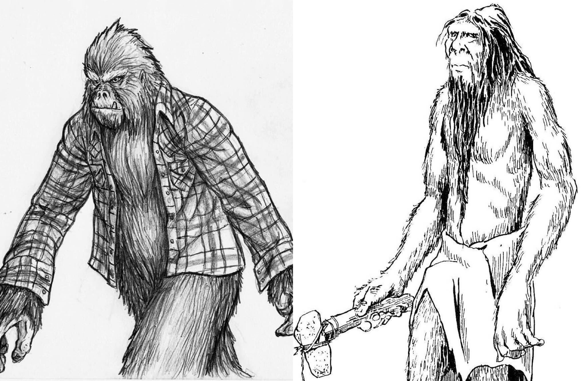 THE FIELD GUIDE TO BIGFOOT AND OTHER MYSTERY PRIMATES: Coleman