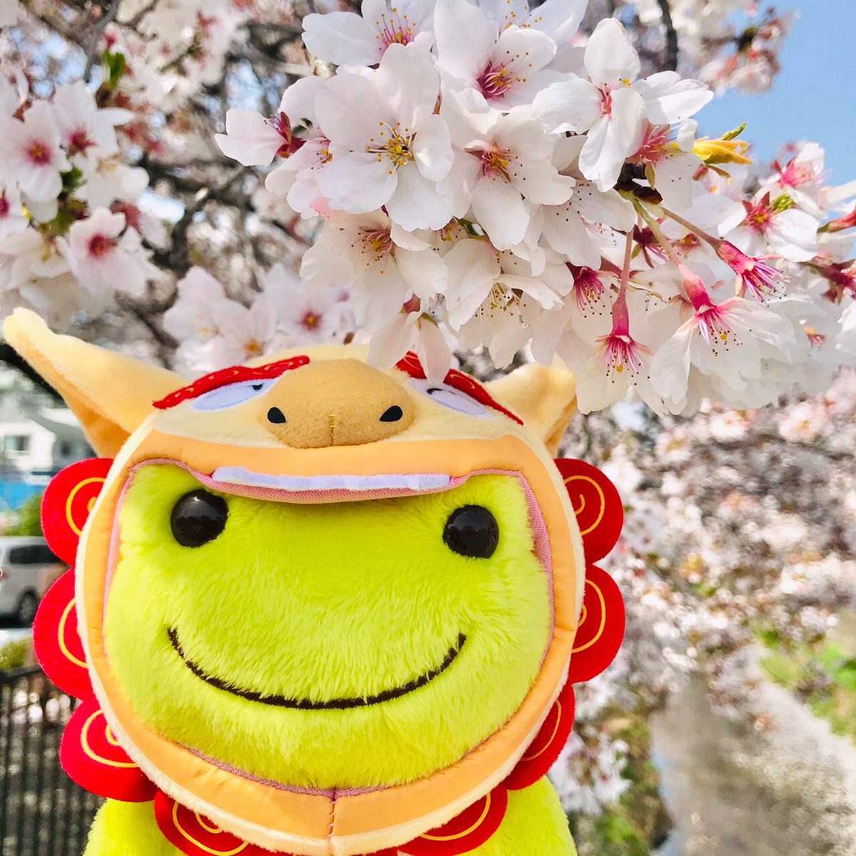 Pickles The Frog News かえるのピクルスnews Newspickles Twitter Pickles The Frog News かえるのピクルスnews Newspickles Twitter