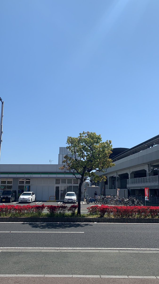 久々の更新です〜。本業の繁忙期も本日と明日で終わりそうです。webの勉強がほぼ出来てなかったのは言い訳ですね。眠気に毎日負けてました。てゆーのも今日と明日までです！

高知県は今日も良い天気です😄小休憩がてら外に出ると気持ちいいですよ♪
#今日も一日頑張ろう