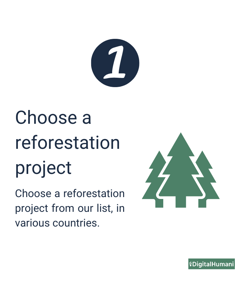 Digital_Humani's tweet photo. Our #ReforestationAPI is built to make integrating #sustainability to your digital projects simple &amp; accessible. Here's how it works ➡️ ➡️ ➡️

#RaaS #ReforestationAsAService #DigitalHumani #Tech4Good #ClimateActionTech #TreePlantingAPI #SustainableSolutions #Biodiversity https://t.co/QAyPg33mFW