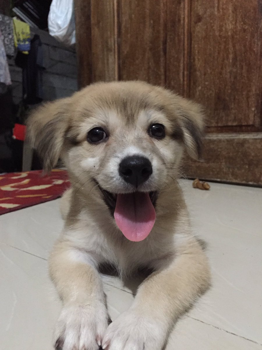 marvcx_'s tweet photo. Hello, I’m Kelly 💛 https://t.co/KVZsvoMxSq