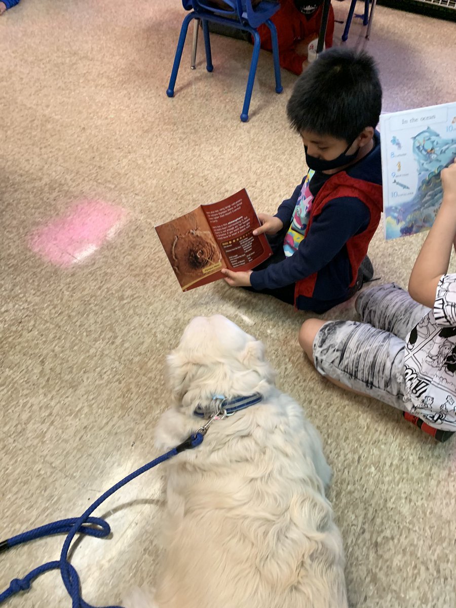 Slaughter Elementary tweet media