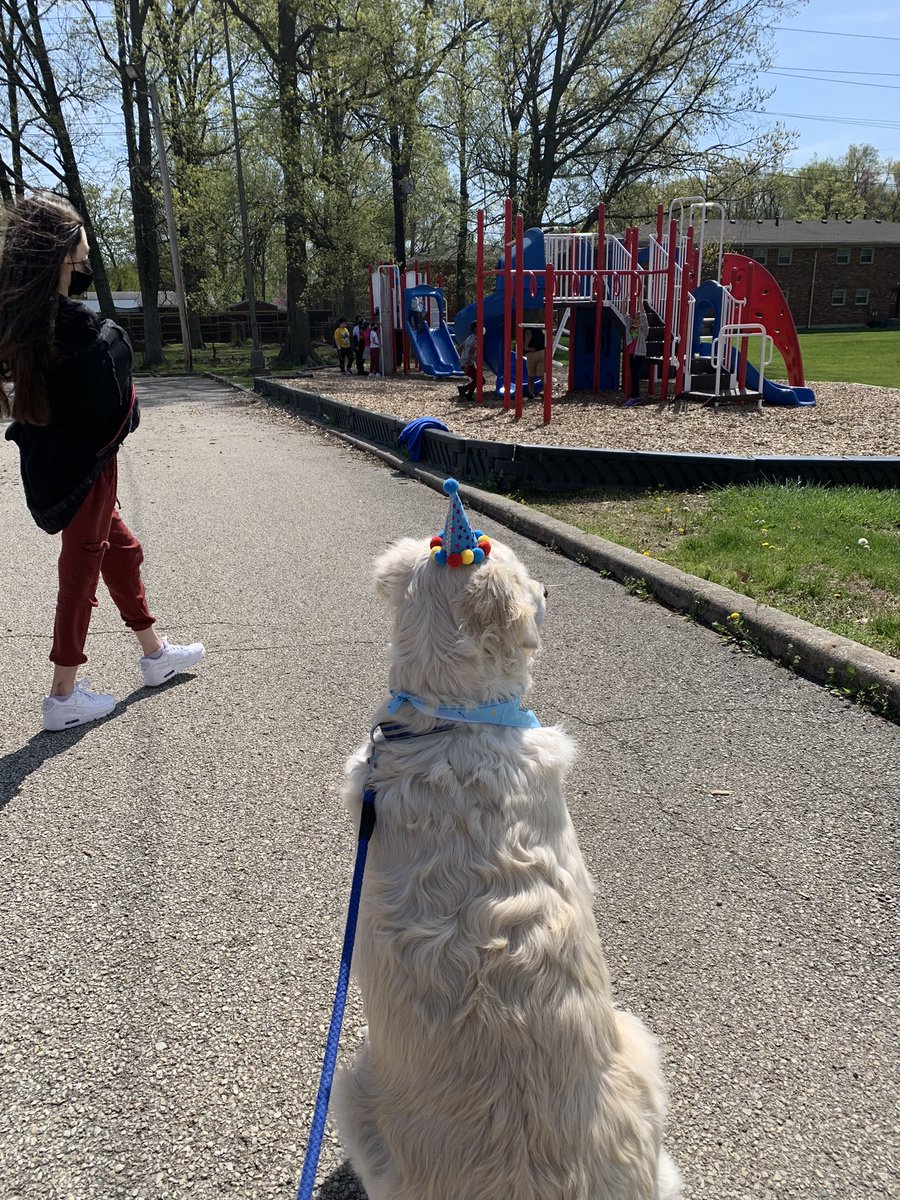 Slaughter Elementary (@slaughterelem) on Twitter photo Comet, our therapy dog, had a great day celebrating his birthday with the kids! Many students made him birthday cards and gave him extra love! #slaughterPROUD #WeAreJCPS <a href="/FRYSC_JCPS/">FRYSC JCPS</a> Comet, our therapy dog, had a great day celebrating his birthday with the kids! Many students made him birthday cards and gave him extra love! #slaughterPROUD #WeAreJCPS <a href="/FRYSC_JCPS/">FRYSC JCPS</a>