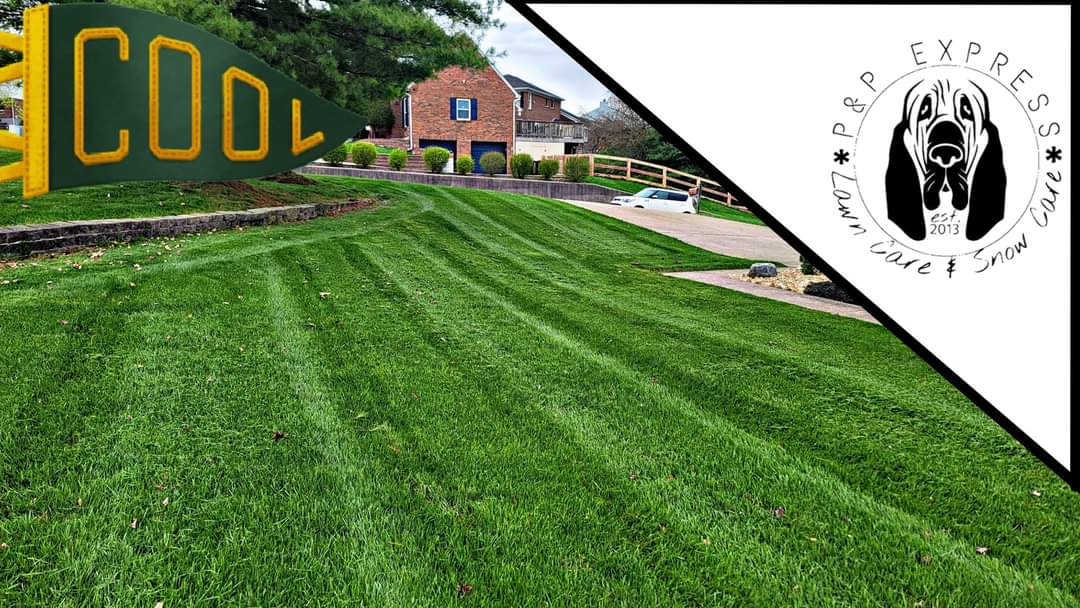 PPExpressLawn's tweet photo. Stripe away 🚀👨‍🚀
#lawncare #landscape #mowing #Bridgetown #Ohio #Cincinnati #SnapperPro #stripes #landscaping #LawnMowing https://t.co/gfhpRdmkO0