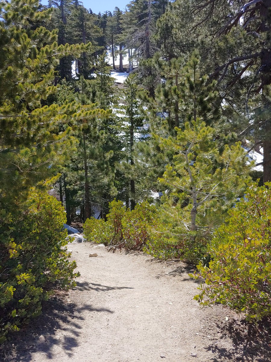 Dyanna Roman tweet media