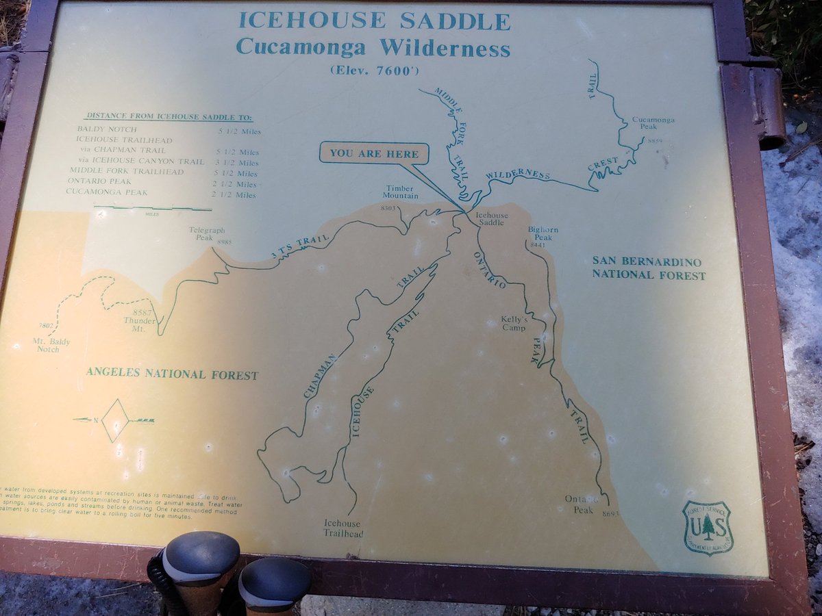 Dyanna Roman tweet media