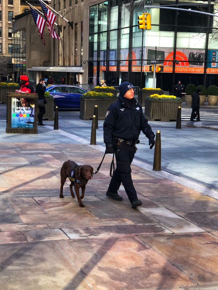 securitynowusa's tweet photo. A professional security provider should be close to perfect at what they do, if not excellent. 

Call Security Now USA
1-888-239-7621
Visit us online:
https://t.co/FgkJkEIgLU

Best Security Guard Provider Company in CA https://t.co/NfE4elPxm9