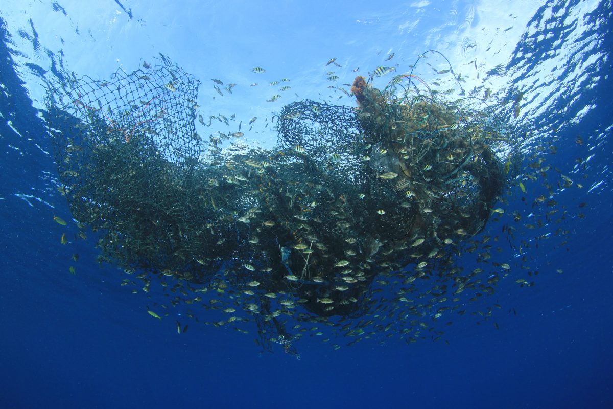 Seaspiracy: New Documentary on Netflix Takes on Impact of Commercial Fishing on the Planet ow.ly/uso850Ej4kR 

#marineconservation
