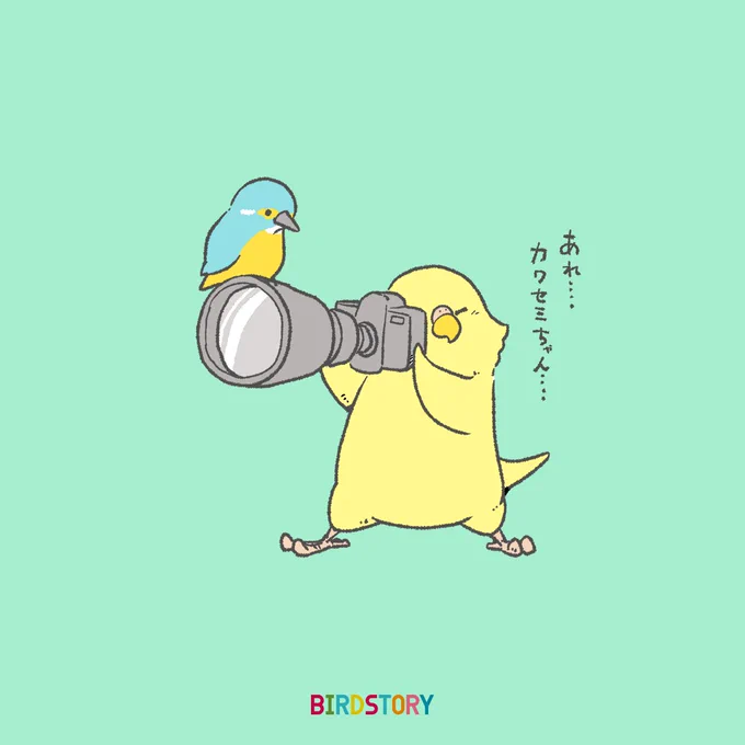 おはようございます。本日は4月10日、ふぉとの語呂合わせから、フォトの日とのことです?#BIRDSTORY #フォトの日 #カワセミ 