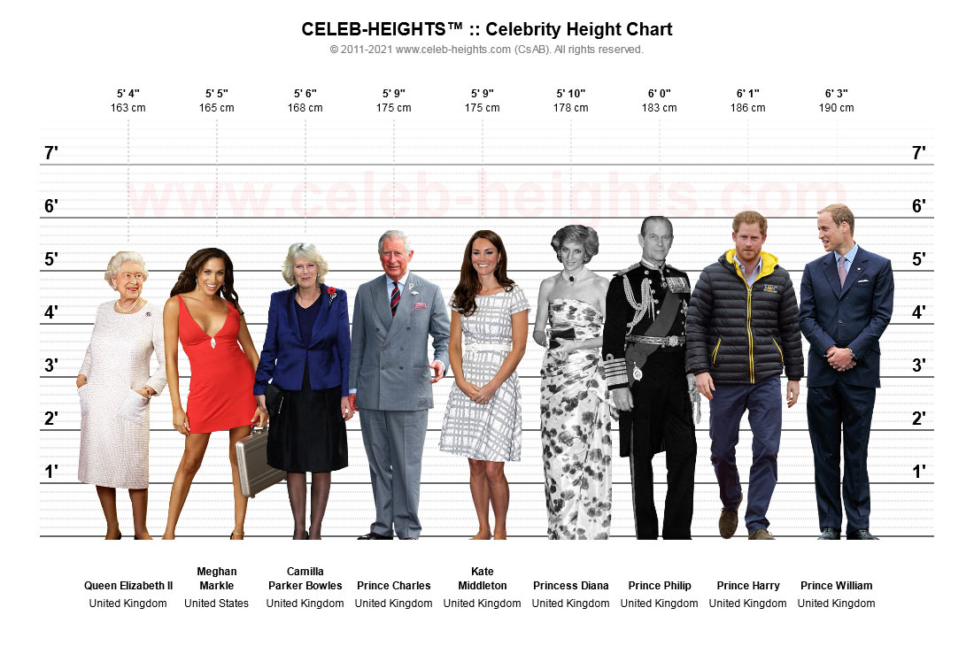 Celebrity Height