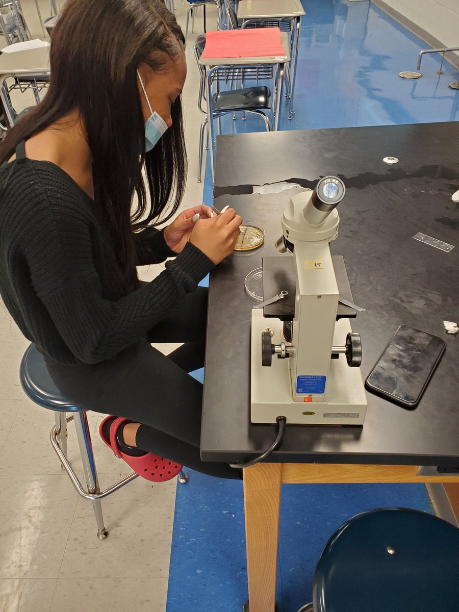 Cranking out the microscopes to see all the bacteria we've been growing this week at <a href="/LHSintheNews/">LaVergne High School</a> 🤗🧫 #Science