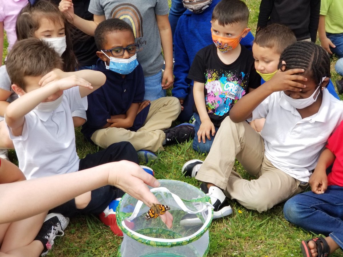 msFisherDCE's tweet photo. Today we set our little butterflies free in Pre K 🥰🦋🐛 https://t.co/szb8TAabUz