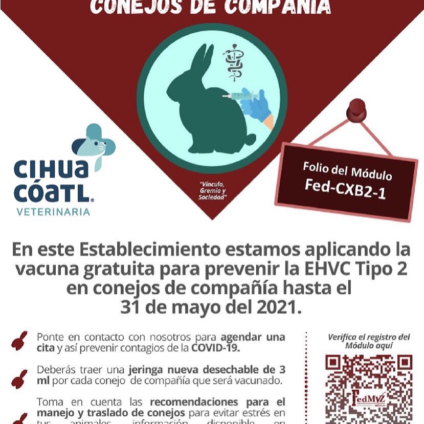 Vet Cihuacoatl tweet media