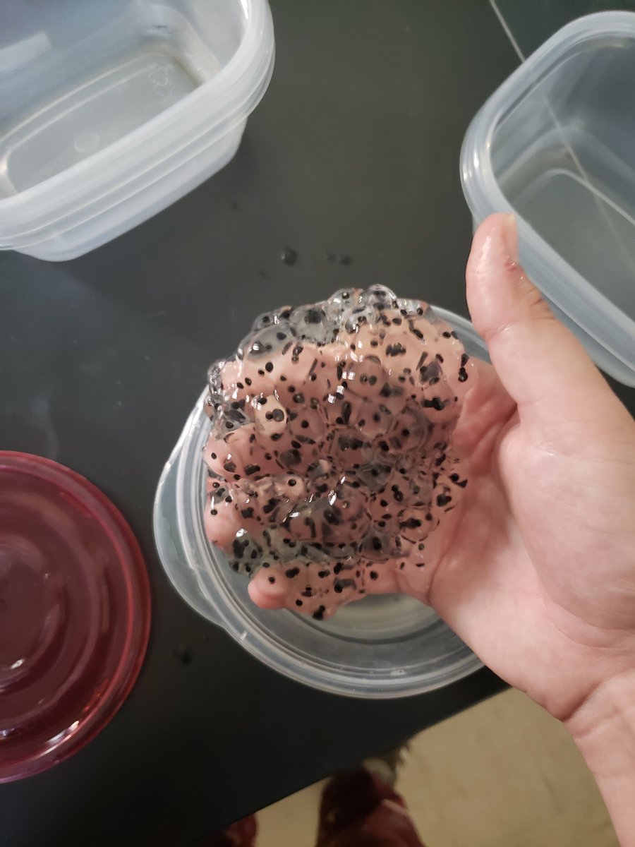 JPStudiesWater's tweet photo. The forbidden jello..... https://t.co/ZgToXy9B9n
