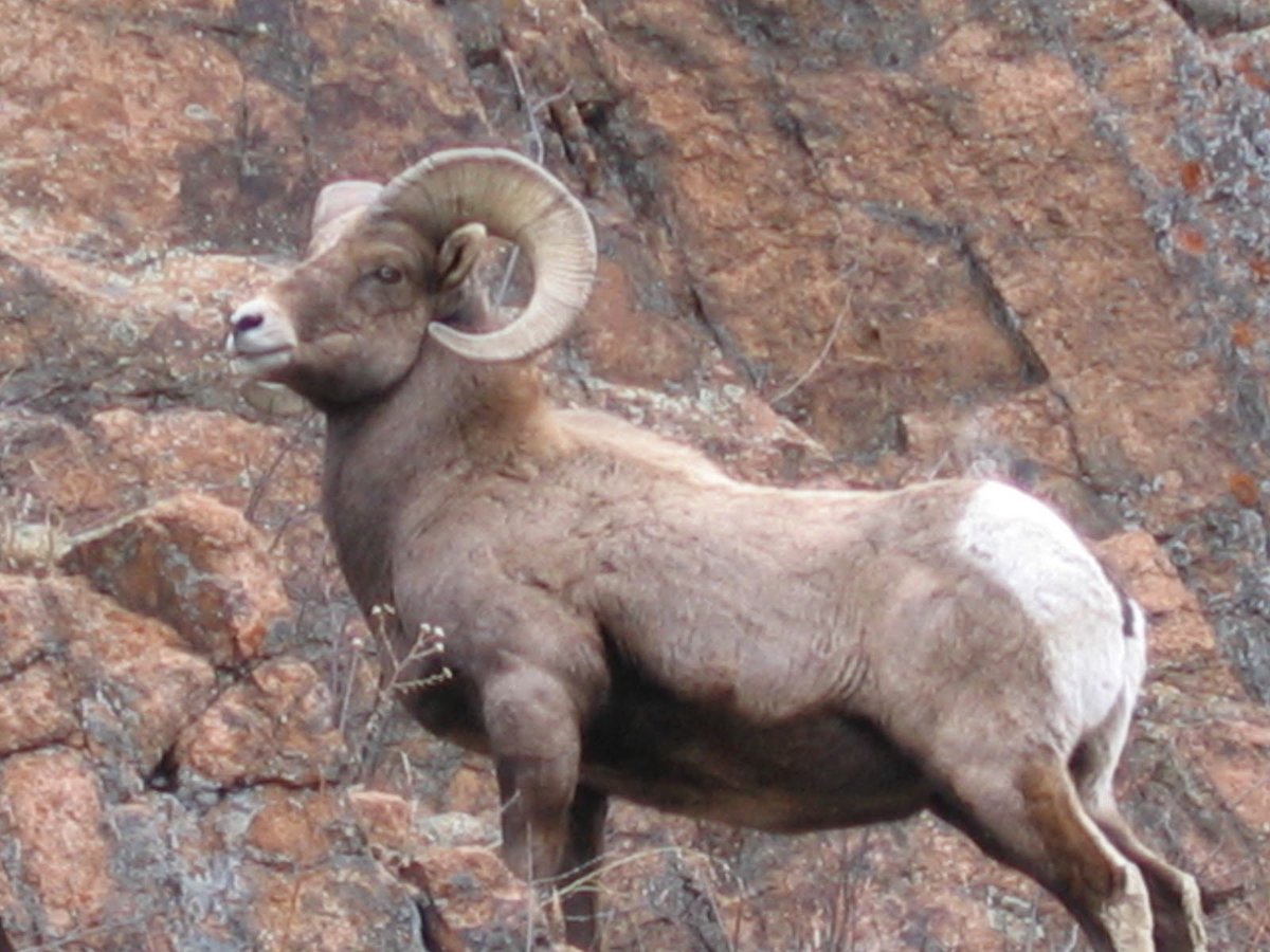 Ram (@ramhourly) on Twitter photo 