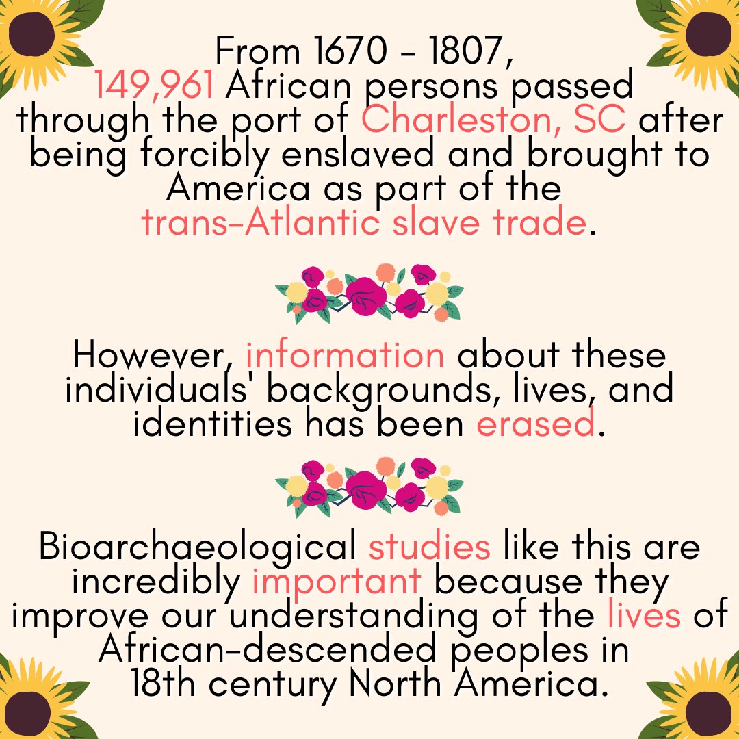 From 1670 - 1807 149,961 African persons passed through the port of Charleston, SC after being forcibly enslaved and brought to America as part of the trans-Atlantic slave trade. Bioarchaeological studies like this are incredibly important because they improve our understanding.