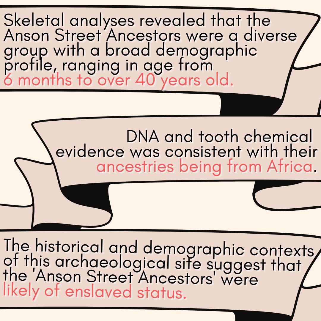 Skeletal analyses revealed that the Anson Street Ancestors were a diverse group with a broad demographic profile, ranging in age from 6 months to over 40 years old. DNA and tooth chemical evidence was consistent with their ancestries being from Africa.