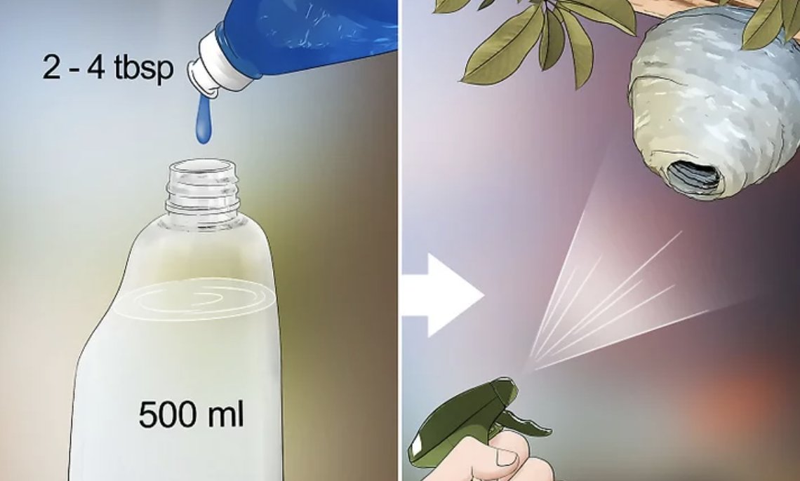 9/ "The cheapest, most effective and safest insecticide against roaches is a spray bottle of mostly water with just a little liquid dish soap in it. Shake it a little bit to get a little foamy. The soap film suffocates them faster than any chemical."(Also for wasp nests)