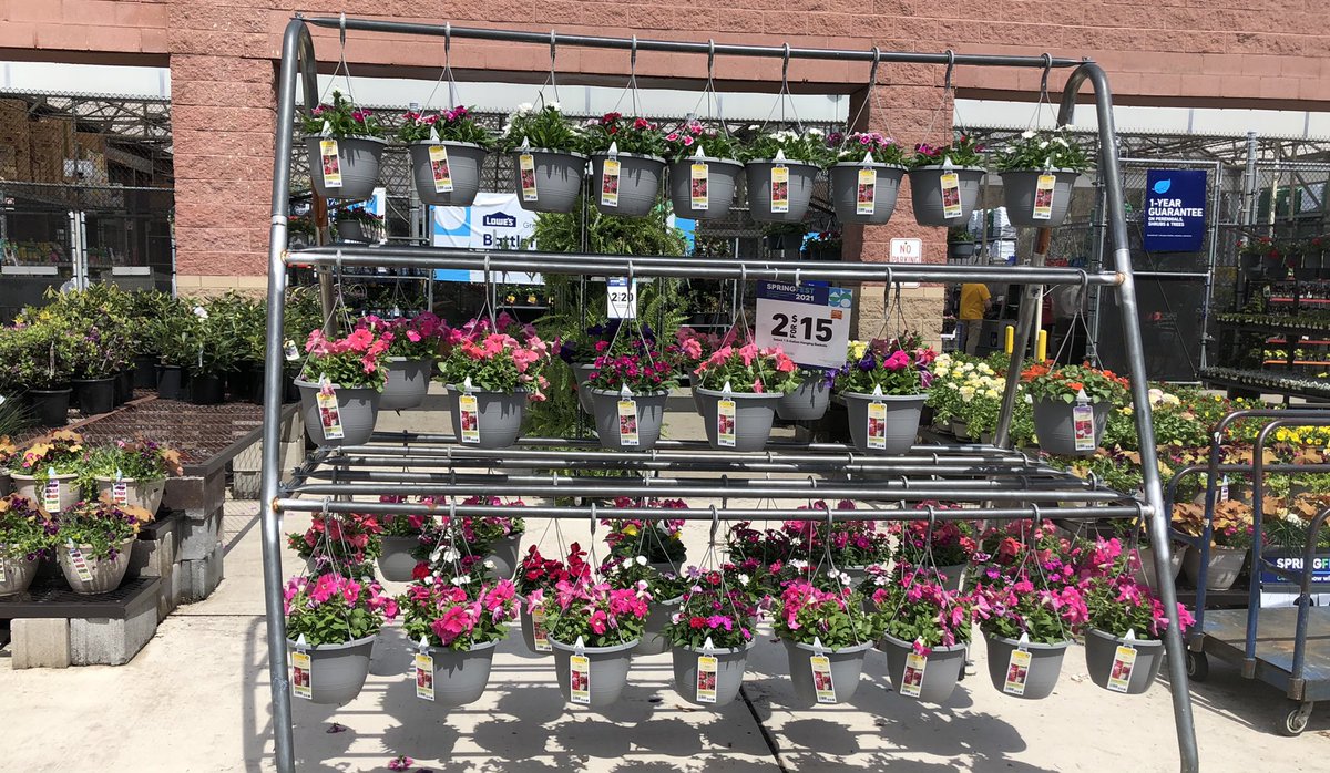 #Springfest2021 is in full swing <a href="/Lowes/">Lowe's</a> Cranberry, Pa. Stop in for the savings and   shop the wide selection of colorful plant’s! <a href="/LBishPlants/">Lora Bishop</a> <a href="/BattlefieldFarm/">Battlefield Farms</a> <a href="/TipToeTyler/">Tyler Combs</a> <a href="/AlanWal73481862/">Alan Waller</a> <a href="/JG_Battlefield/">Jill Guth</a> <a href="/TJS_Battlefield/">Todd S. - Battlefieldfarms</a> <a href="/AF_Battlefield/">AlanF-Battlefieldfarms</a>