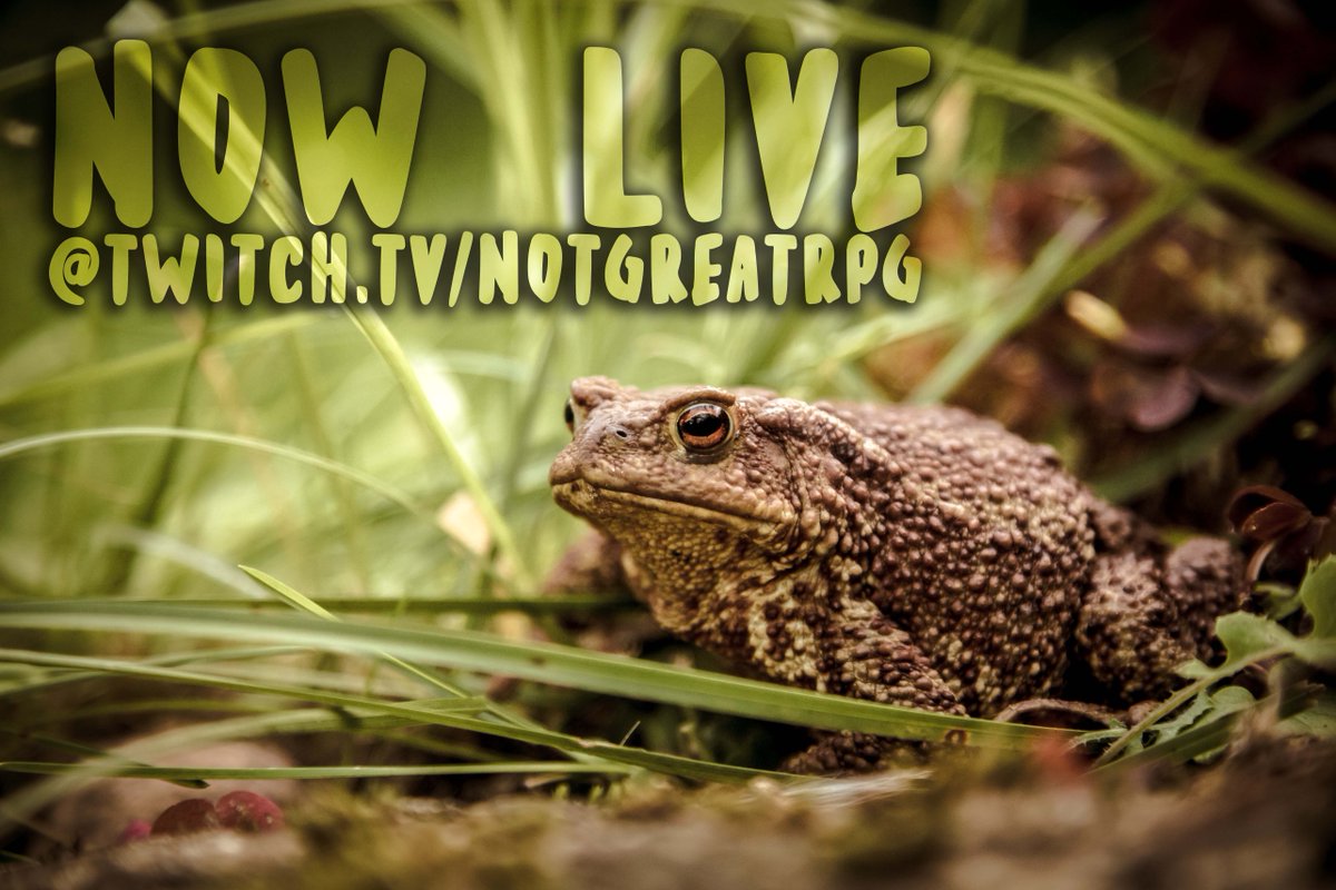 NotGreatRPG's tweet image. Just a few miles outside of Southport, our friends grow ever closer to the docks where they plan to confront the Gilded Mask...

We are live for The Lost Kings of Adoris! twitch.tv/notgreatrpg
#DnD #liveplay #notgreatrpg