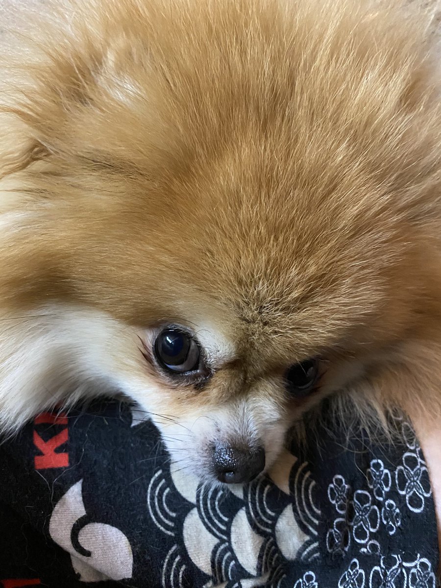 moved to zoequinn.bsky.social tweet media