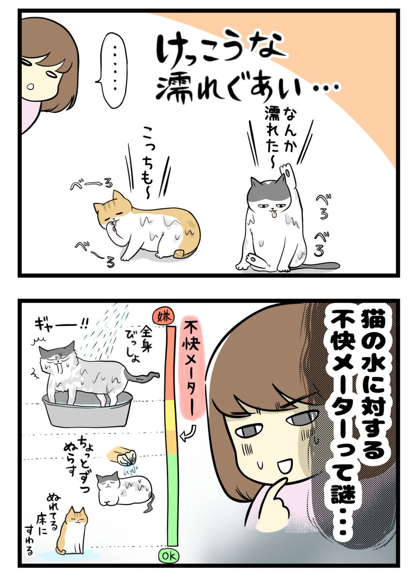 猫は水が不快じゃない?の謎
#漫画が読めるハッシュタグ  #保護猫さんと暮らす 