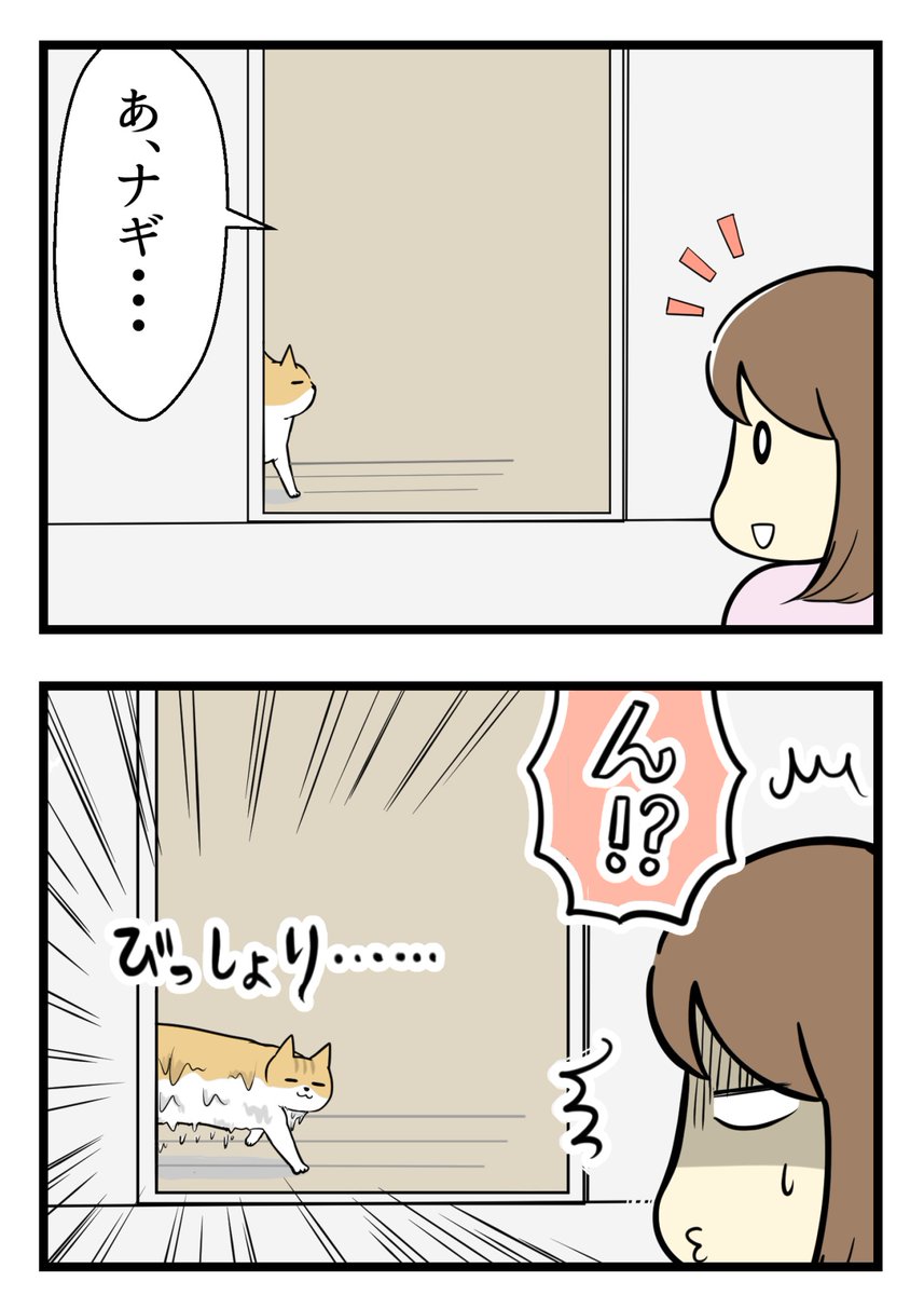 猫は水が不快じゃない?の謎
#漫画が読めるハッシュタグ  #保護猫さんと暮らす 