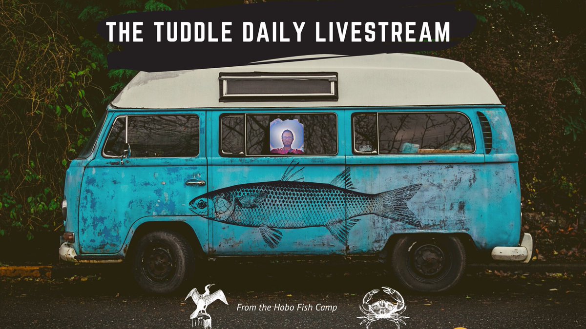 tuddle's tweet photo. Live at 8:15 tonight, new sponsor! https://t.co/QAsjaRKJXc https://t.co/lF6BseiTTk