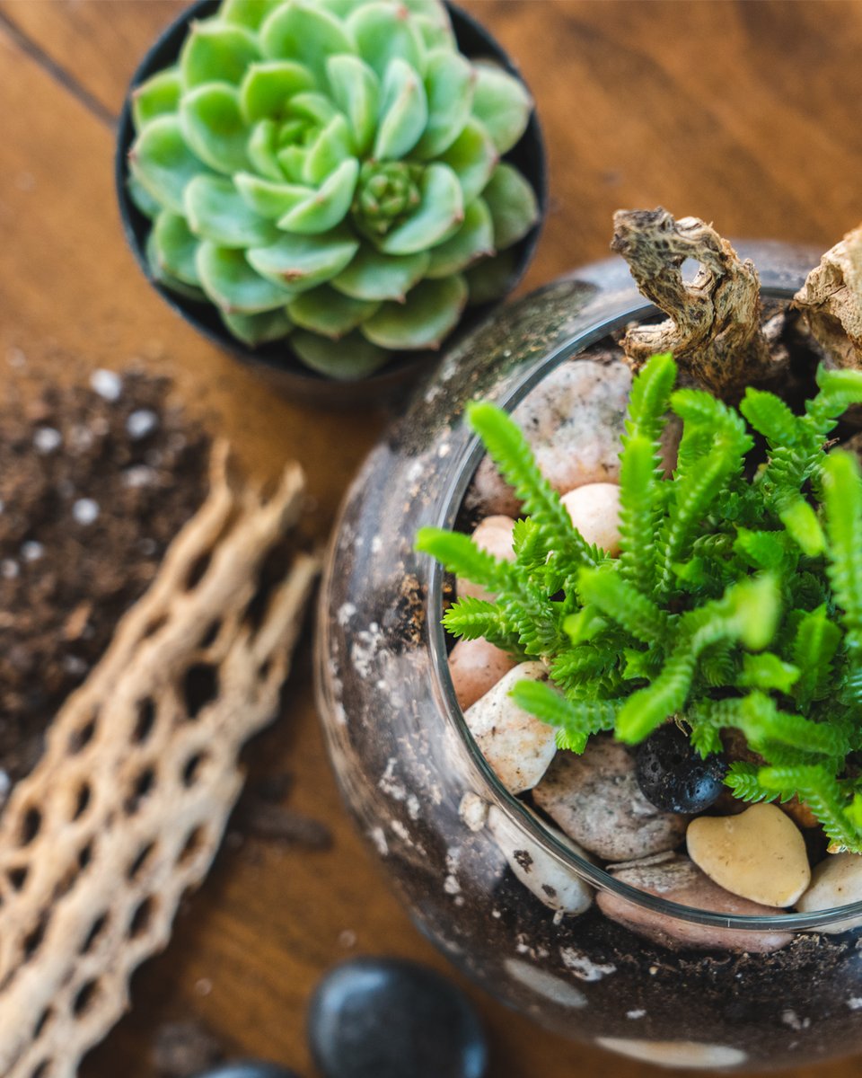 Take a moment to clear your mind and enjoy the moment at one of our mindfulness classes. Make a succulent diffuser or bath bombs from locally sourced ingredients!
