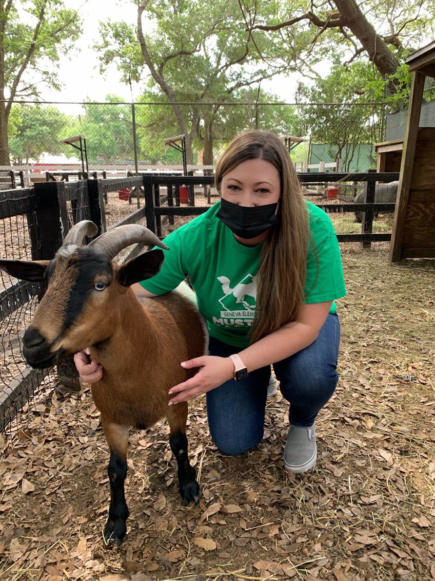 GenevaElem's tweet photo. ⭐️As promised Mustangs, Principal Padilla kissed a goat for you! Video coming to our news show. Thank you again for supporting Geneva with our fundraiser.🐐 https://t.co/QNhZnds4lZ