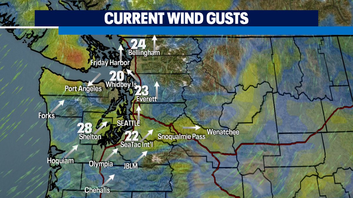 Erin Mayovsky tweet media